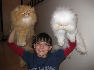 My two best Persian friends, Sir Fluffalot and Chloe